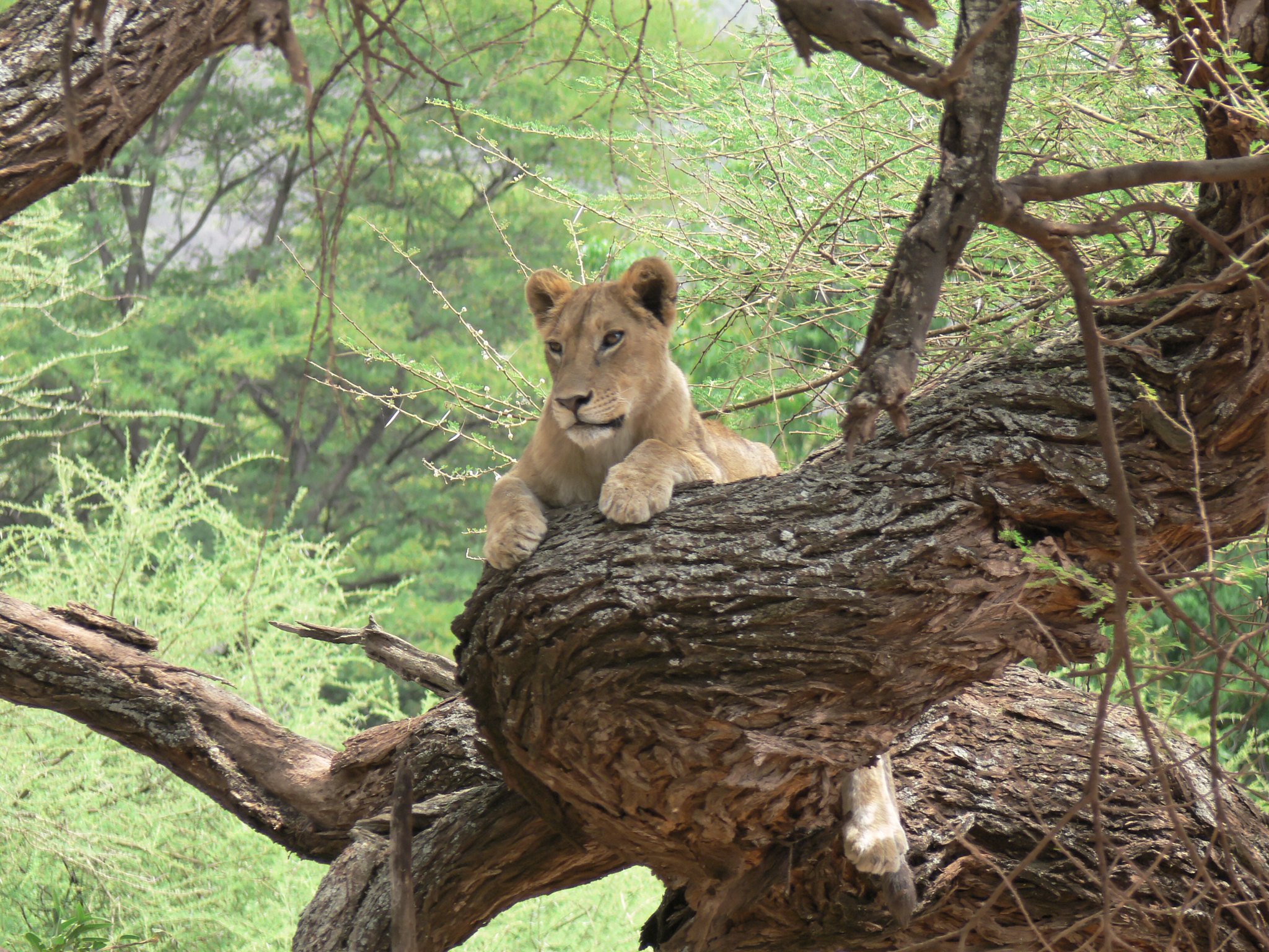 lake manyara national park